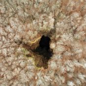 created by dji camera