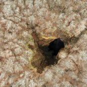 created by dji camera