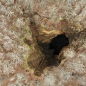 created by dji camera