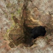 created by dji camera