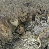 created by dji camera