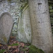 Židovský cintorín, Dolný Kubín בית הקברות היהודי Židovský cintorín, Dolný Kubín בית הקברות היהודי