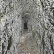 Nádherná kresanica