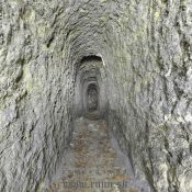 Nádherná kresanica