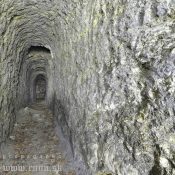 Nádherná kresanica