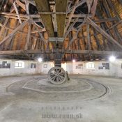 Konský gápeľ Solivar Prešov