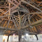 Konský gápeľ Solivar Prešov