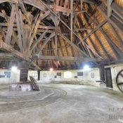 Konský gápeľ Solivar Prešov