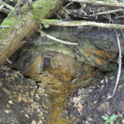 Barbora, Ružomberok